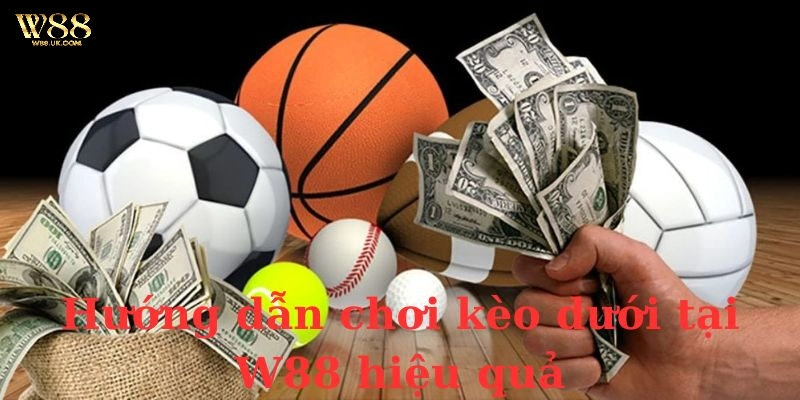 Kèo Dưới W88: Hướng Dẫn Cách Chơi Hiệu Quả Cho Newbie